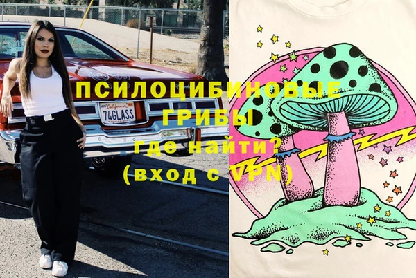 хмурый Алзамай