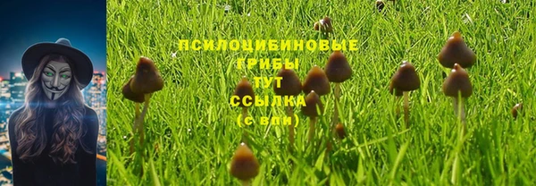 молекула духа Абинск