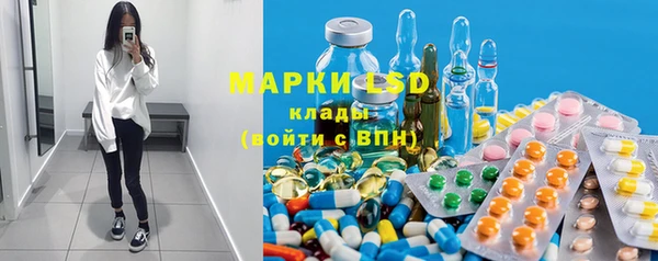 хмурый Алзамай