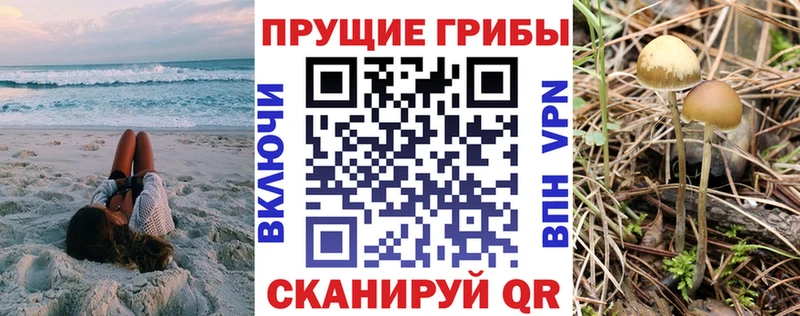 omg ссылки  Тотьма  Галлюциногенные грибы мицелий 